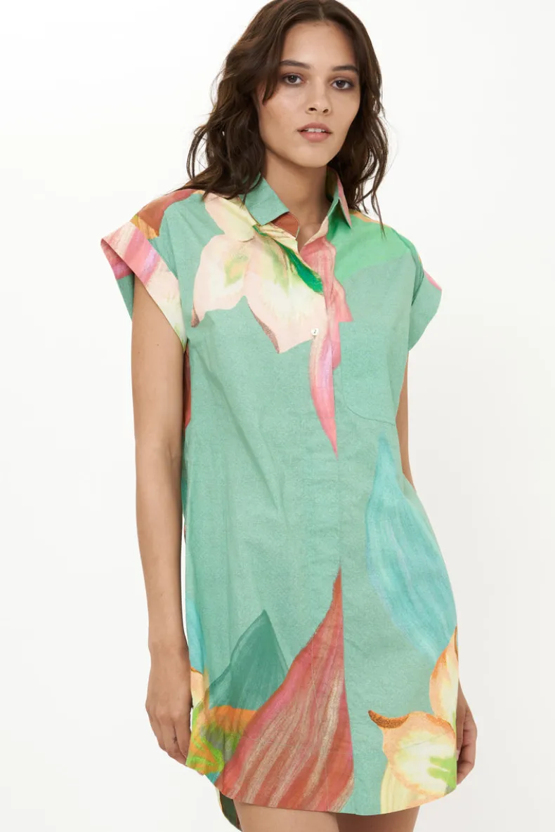 Shirt Dress Mini- Hibiscus Sage