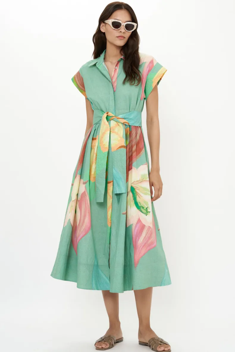 Belted Shirt Dress- Hibiscus Sage