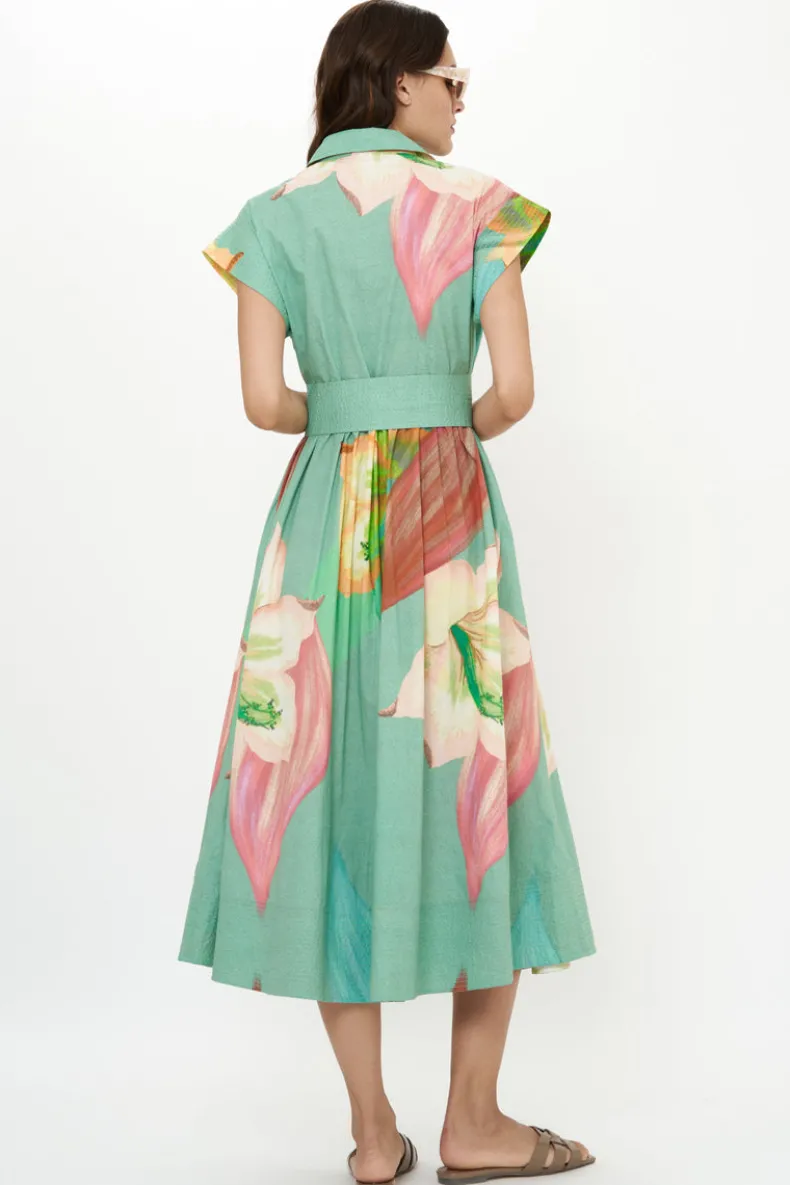 Belted Shirt Dress- Hibiscus Sage